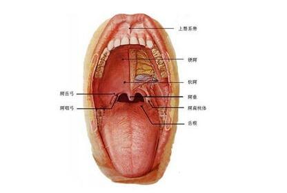 患上舌癌都有哪些表现？舌癌的早期症状