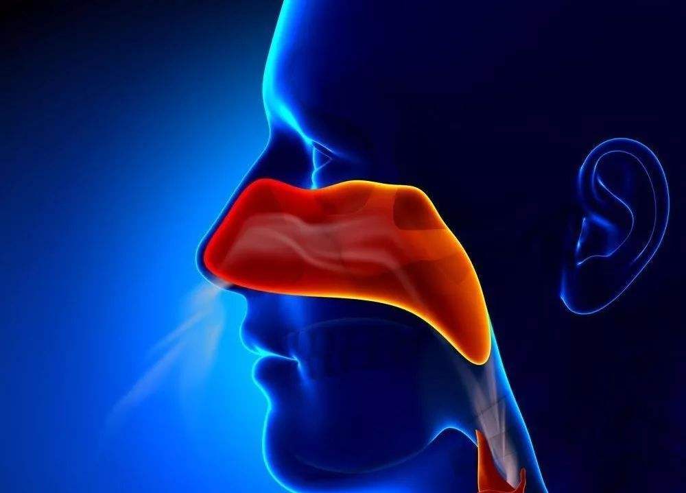 鼻咽癌会引发哪些危害？这3点常见